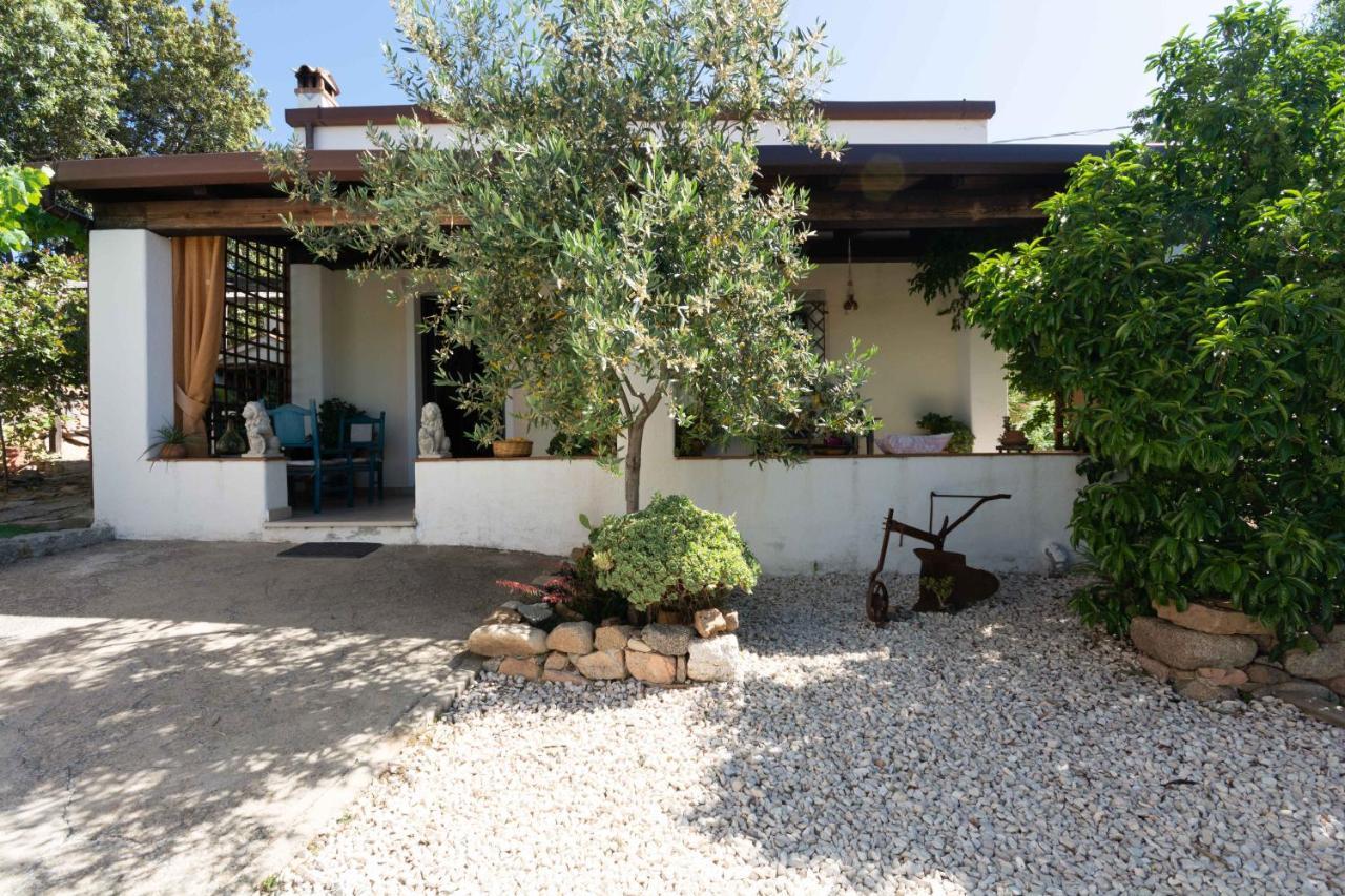 Villa Ferulas Oliena Kültér fotó