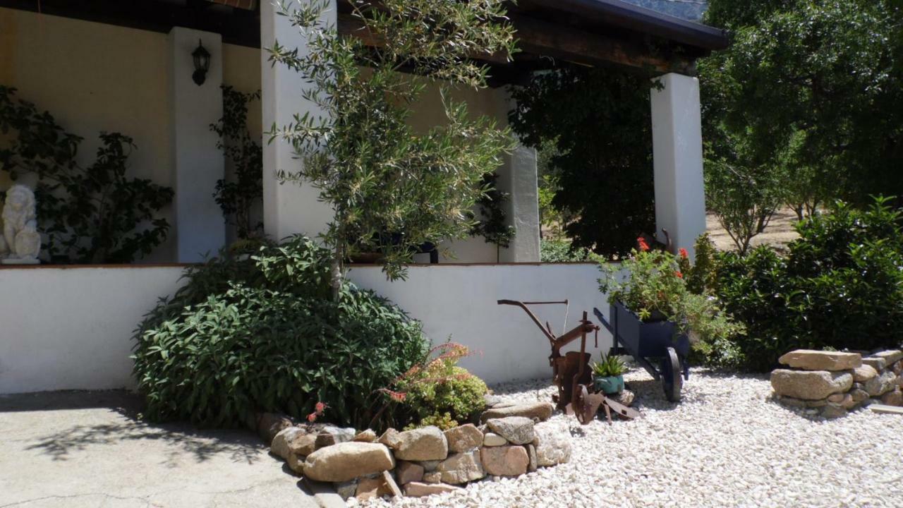 Villa Ferulas Oliena Kültér fotó